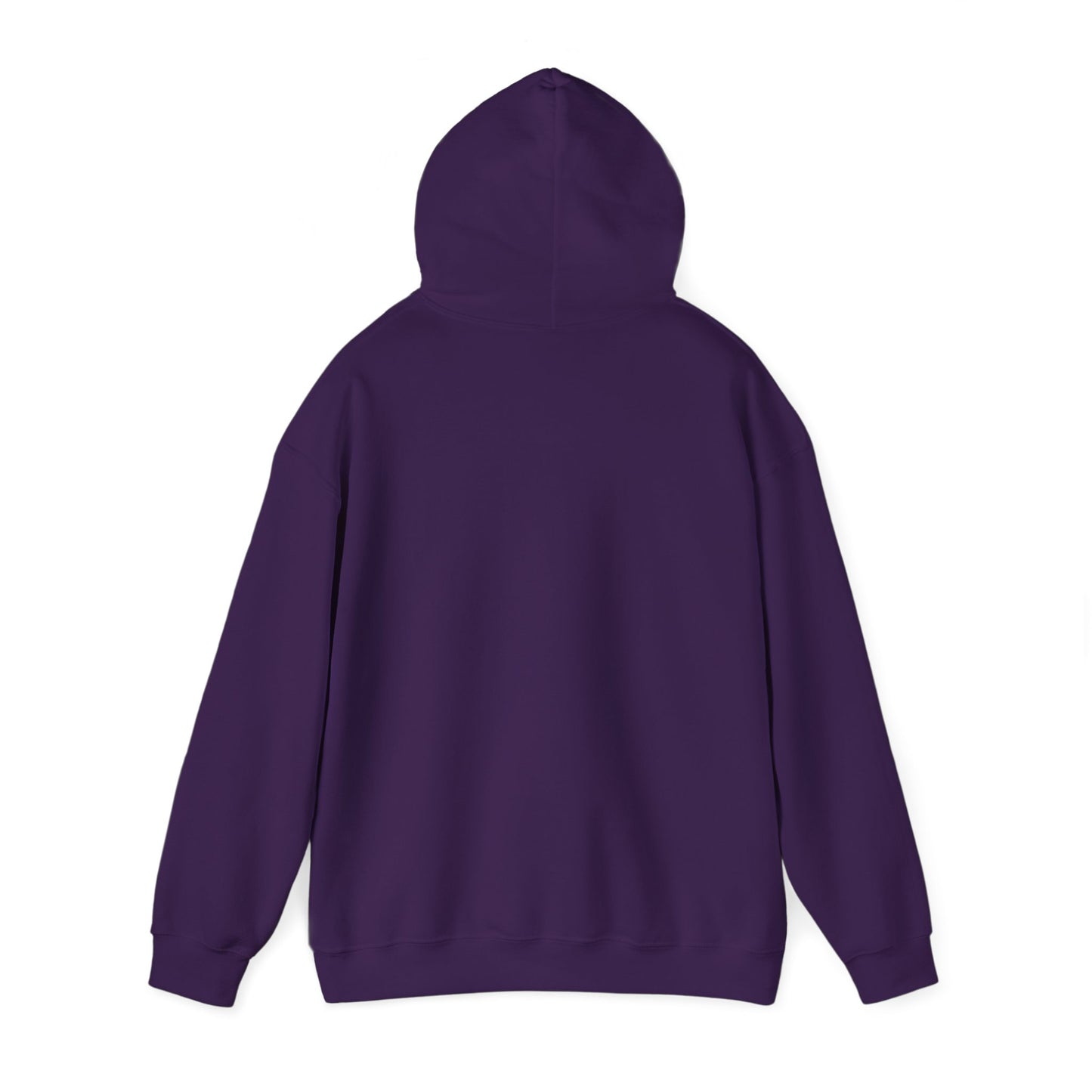 Men's "Cosmic Plan" Hoodie